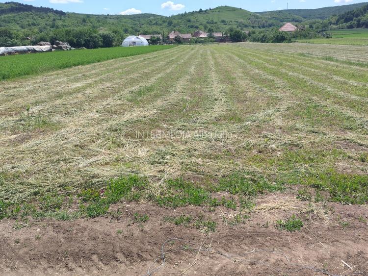 TEREN Intravilan in suprafata de 3024 mp, cu deschidere la drum de 18 m - 2