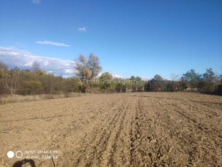 Snagov Ghermănești 4000 Mp Teren de v&acirc;nzare L3 S+P+1E+M LIDL Ieșirea Spre A3 - 6