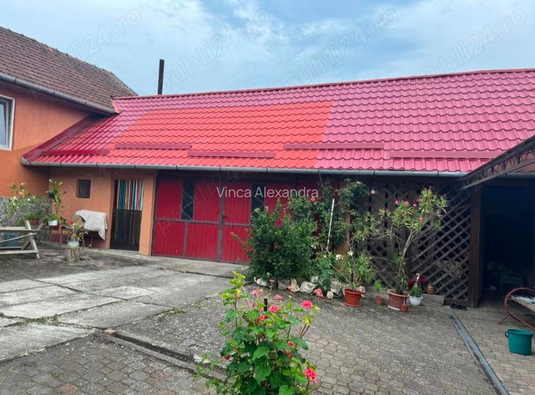 Casă de vânzare , Țela, Arad ,3 anexe  - 4