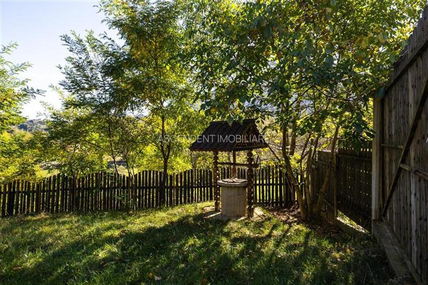 FILM! Proprietate notabila,ocazie personalizare, aprecat areal: Bran, Brasov - 7