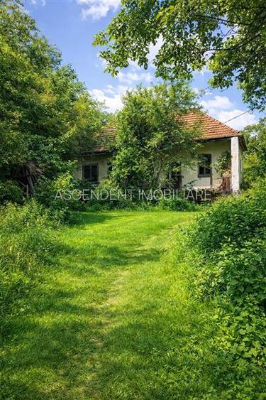 Domeniu verde autentic,  +5.000mp, front la DJ, Valcele, Brasov -- Covasna - 6