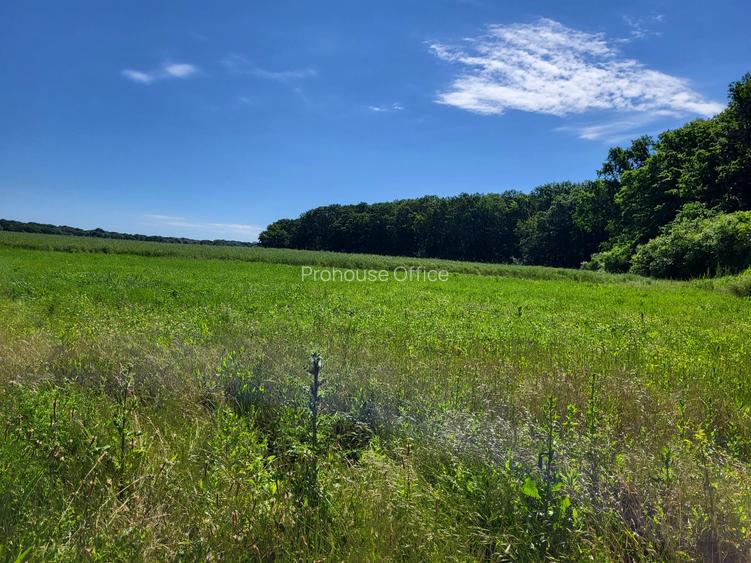 Oportunitate Unică! Teren de Vânzare aproape de Pădure – Ciolpani Izvorani - 8