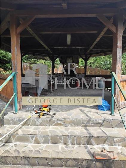 Vila  Provita de  Jos 380mp - 22