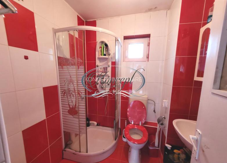 Proprietate versatila cu garaj si teren in Someseni - 11