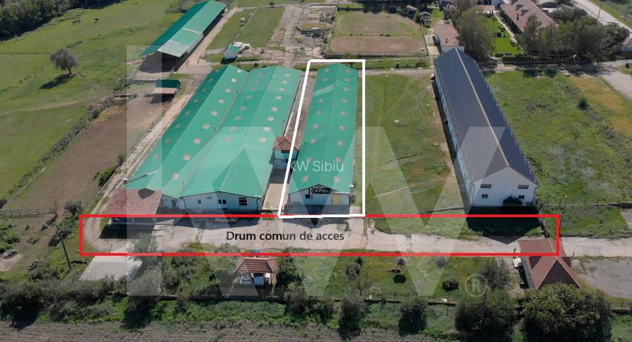 Hala de productie functionala, 790mp, Sebes - 6