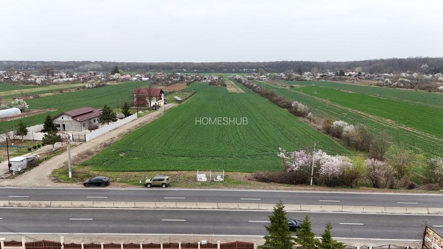 0% | Teren intravilan, 4563 mp, front 25 m, utilitati | Potigrafu PH - 3