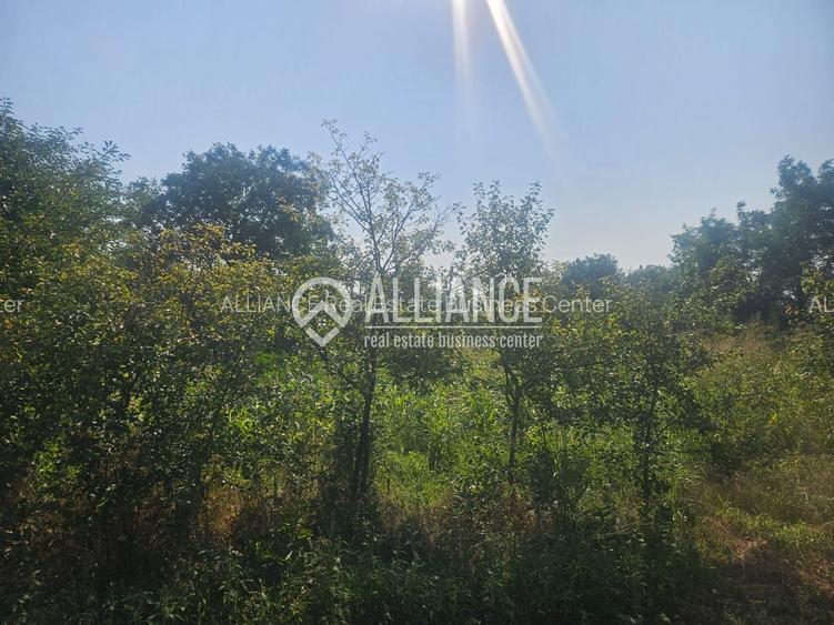 ISTRIA (COD04)-Teren intravilan 1528 mp-Constanta - 5