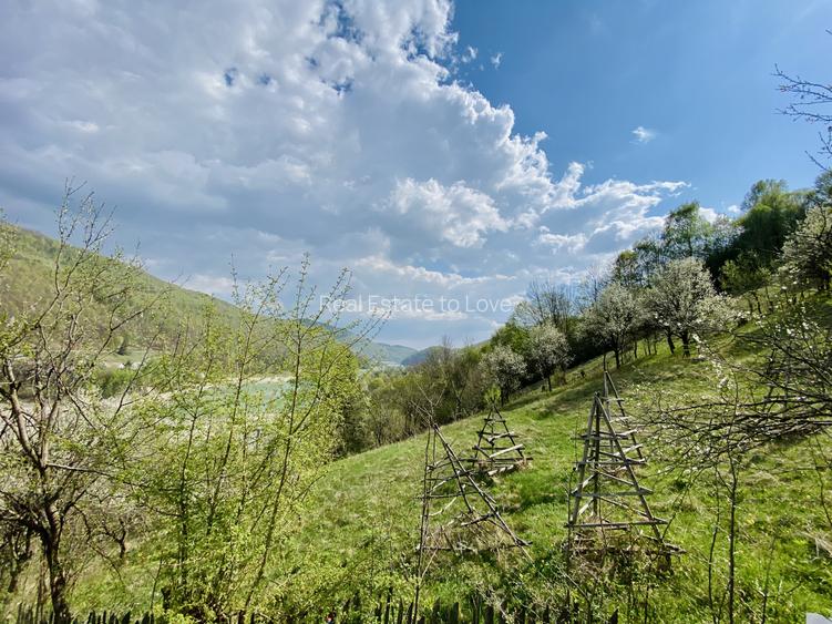 Teren vedere panoramică lac Paltinu si dealuri împădurite in Valea Doftanei - 2