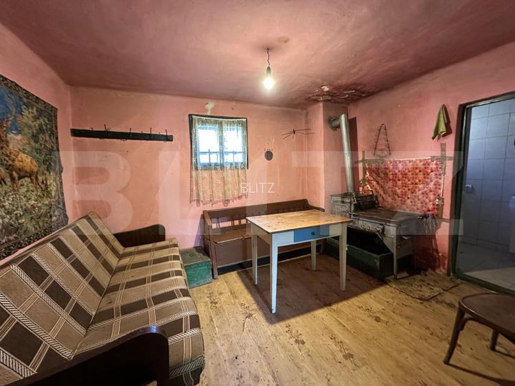 Casa la tara, 4000 mp teren, utilitati, acces A10, sat Dumbrava - 11
