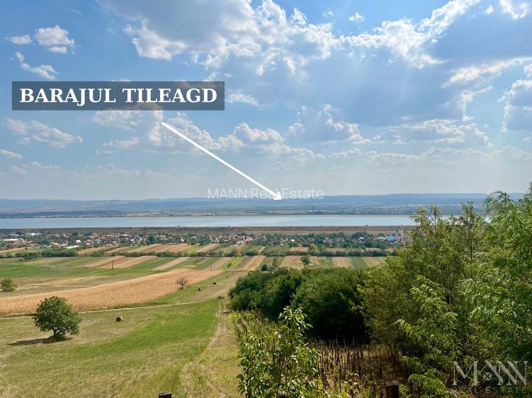 Pivnita + parcela de vie | de vanzare | Uileacu de Cris, Bihor - 2