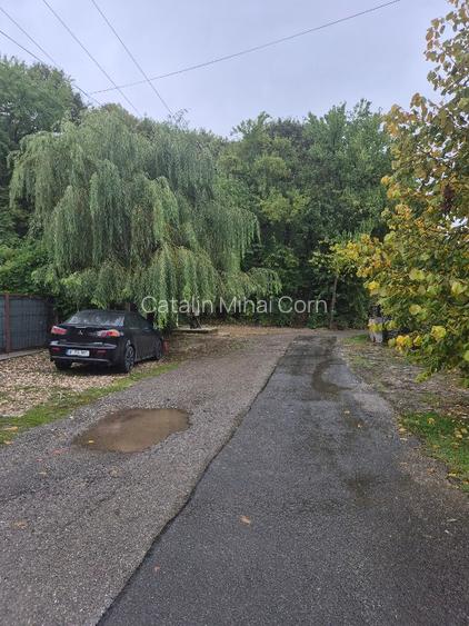 Snagov Astoria/Santu FLoresti langa padure si lac vanzare casa, proprietar - 11