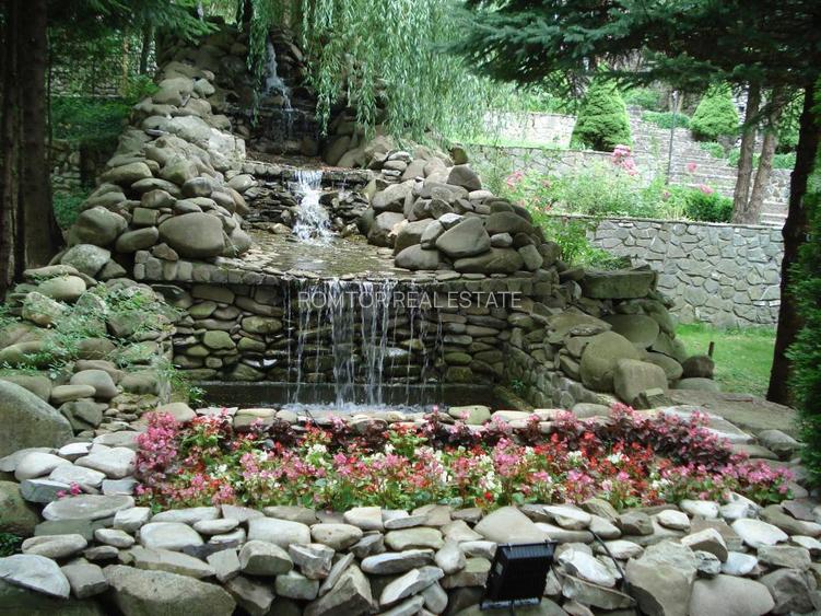 Campina Valea Doftanei Sotrile Paltinu - 22