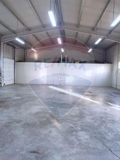 Hală cu acces TIR si teren de închiriat Arad. De la 600 euro/150 mp - 2