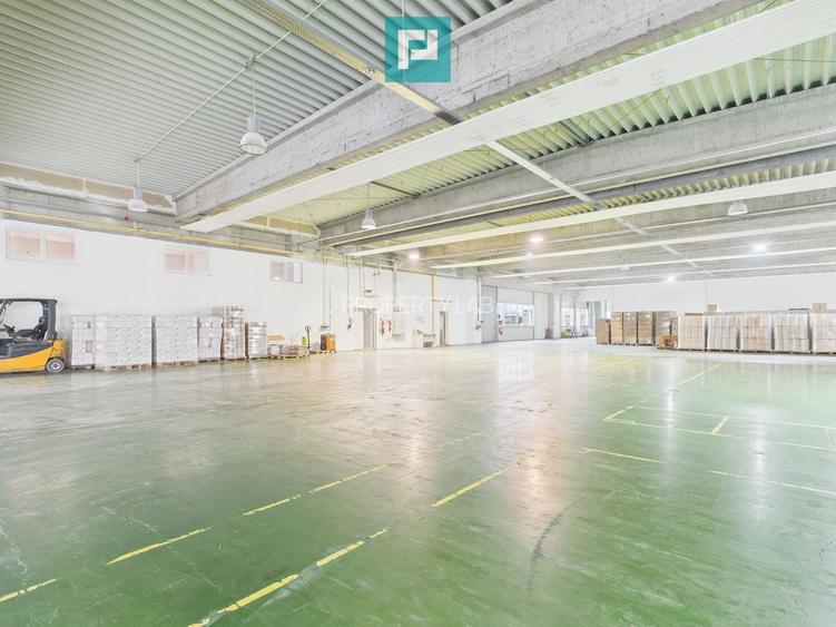 Hală industrială de 4.155 mp Calea Borșului - 10