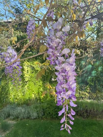 Otopeni, vila moderna 5 camere - 24