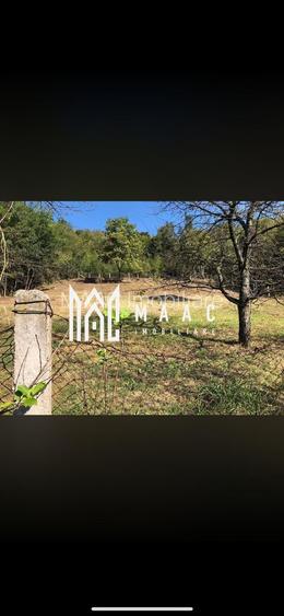 Casa de vanzare | teren intravilan| Troianu| 2166mp - 4