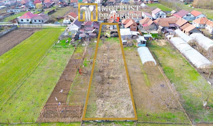 Oferta primavara-Casă cu teren generos 1.305 mp | Curtici – Arad - 5