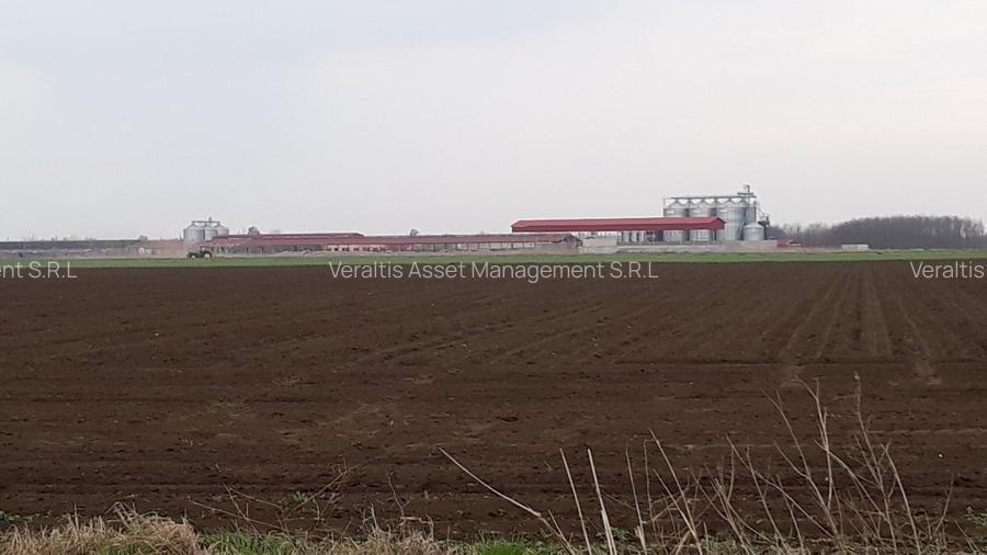 de vanzare Ferma Vaci - 17