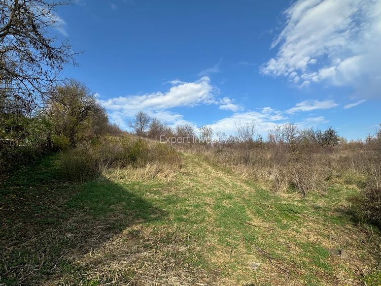 Teren intravilan 790 mp in Cisnadie - zona str. Selimbarului - 3