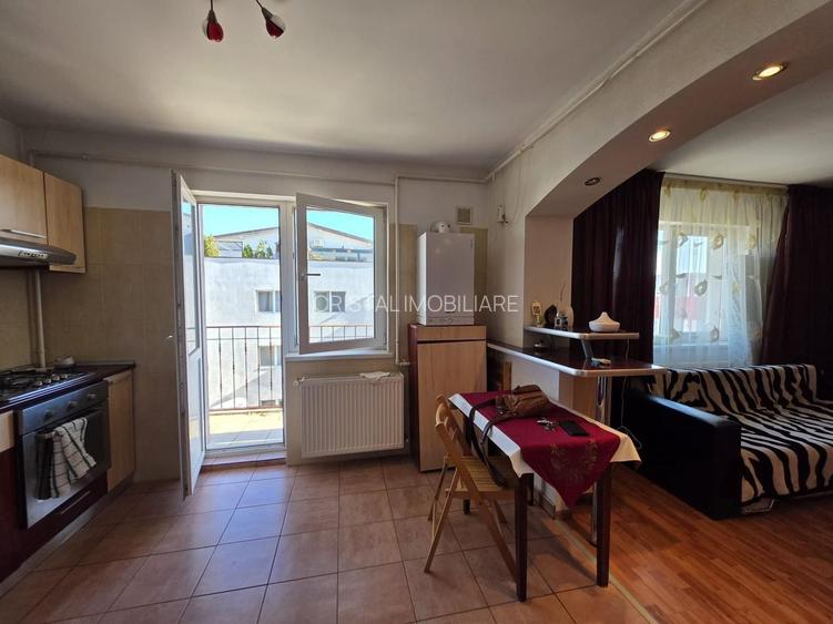Garsonieră spațioasă Ozana, parcare, centrală proprie, balcon, pet friendly - 10