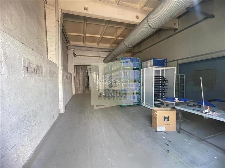 Hale industriale 5457 mp productii metalice in Cisnadie - 2