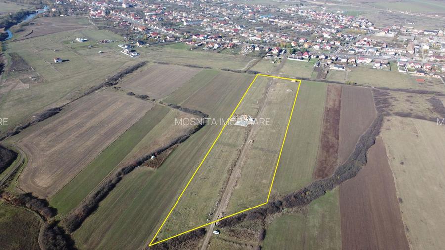 Terenuri Remetea Mare, cu toate utilitatile garantate - 69euro/mp+TVA - 10