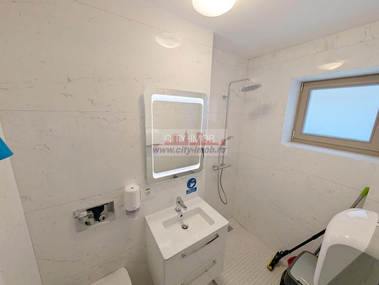 Inchiriere Vila noua Individuala Domenii / Mihalache - 45