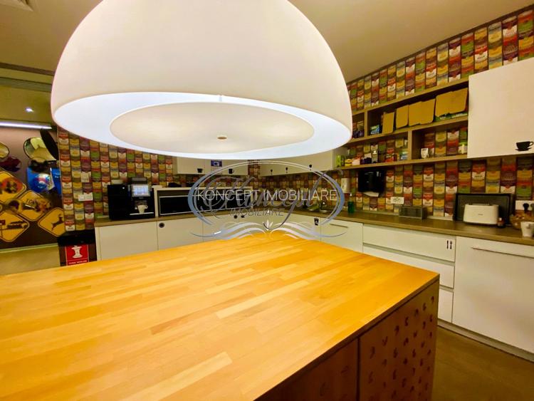 Spatiu comercial sau pentru birouri - 14