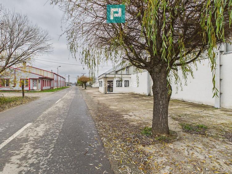 Hală cu teren intravilan de 3500 mp, în Sebiș Arad - 17
