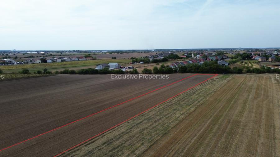 Teren intravilan 6000 mp Darza 13E/mp deal pentru case, ferma, productie - 4