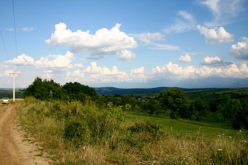 Teren extravilan de vânzare | 600 mp | Daia Nouă - 2