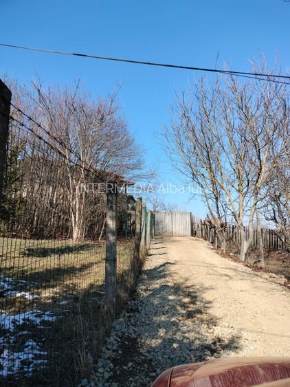 1400 mp. Deschidere 38 m Teren Intravilan CETATE Valea Popii utilitatile langa - 5