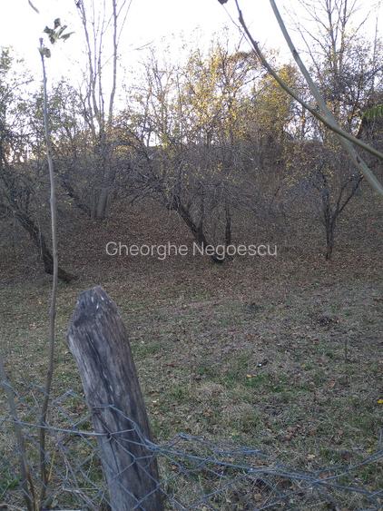 Teren intravilan 3.788 mp, deschidere 39 m, Fieni, sat Costești, jud. Dâmbovița - 5