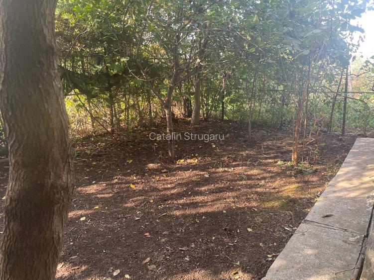 Casă cu 3 apartamente separate, ideală investitie pentru închiriere - 4