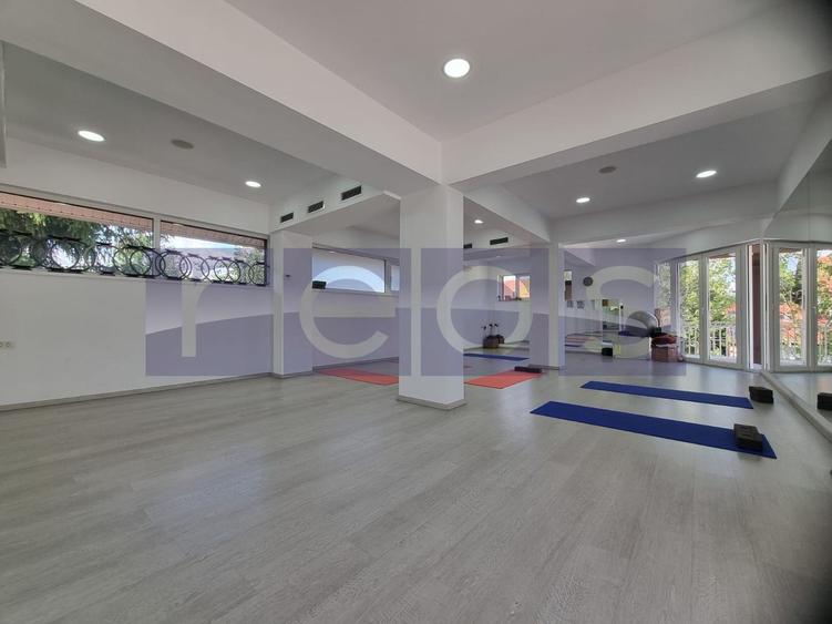 INCHIRIERE SPATIU COMERCIAL-2 VILE | ZONA MOGOSOAIA - 30