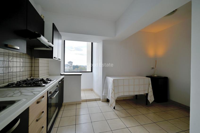 VANZARE Duplex 4 camere Bulevardul Unirii 12 - Fantani vedere panoramica Luminos - 32