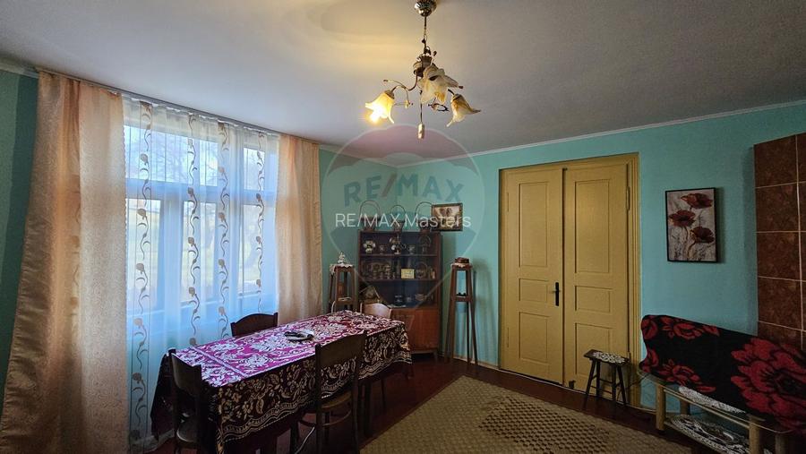 Casă / Vilă cu 3 camere de vânzare-Cacica-Suceava - 55