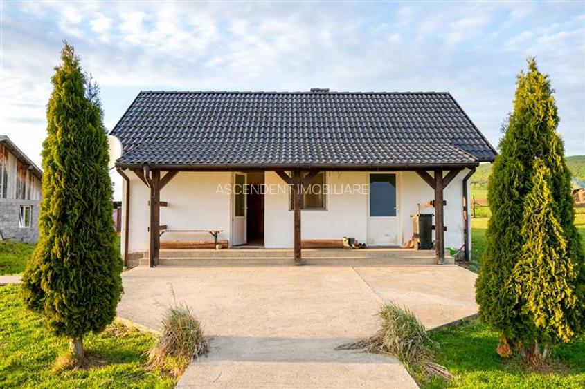 Ferma+Anexe specifice+ Constructie rezidentiala+222.000 mp domeniu - 8