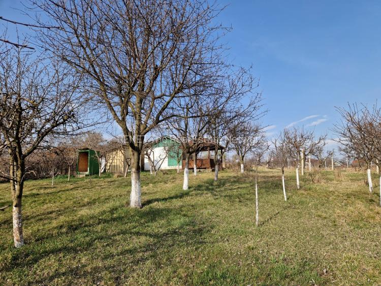 Teren - Roman  -Trifesti - ieșire la lac - livada pe rod - 3