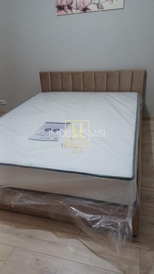 Apartament 1 camera Dec 40 mp. Bucium 300 euro - 2