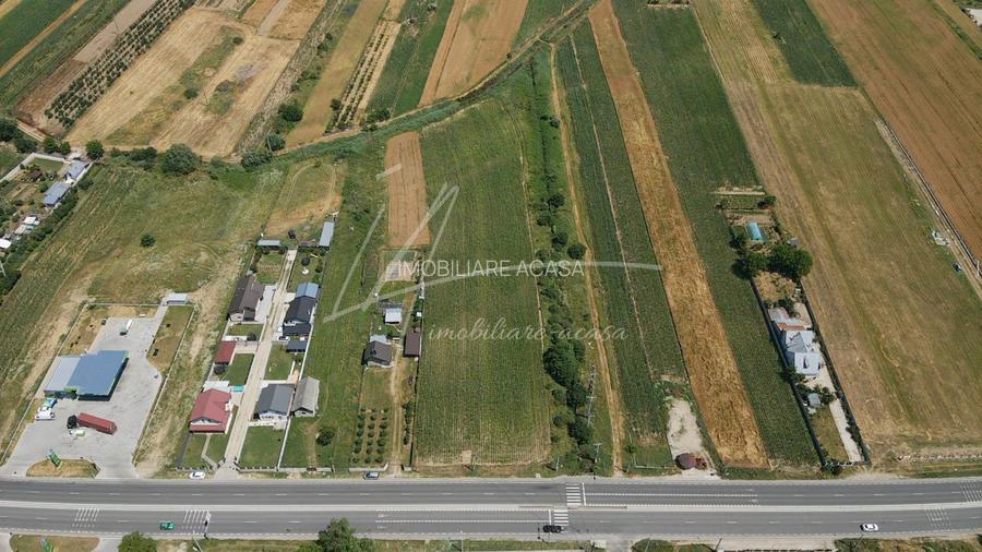 Teren cu potențial de dezvoltare –7427 mp în Argeșelu, Mărăcineni, județul Arges - 3