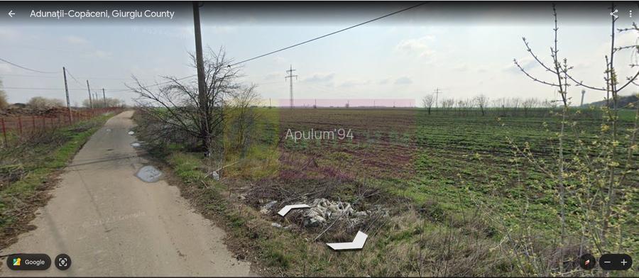 Teren 40ha Adunatii Copăceni | Industrial/ Logistic - 4