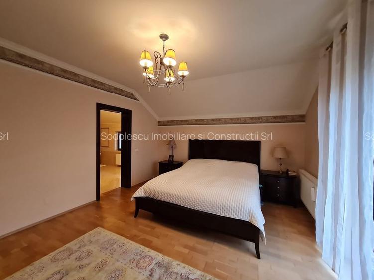 Poziție de top în Dumbravita - 17