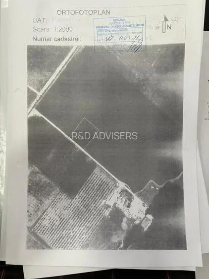 Oportunitate Teren Case Individuale sau Duplexuri Padurea Cernica 300m - 3