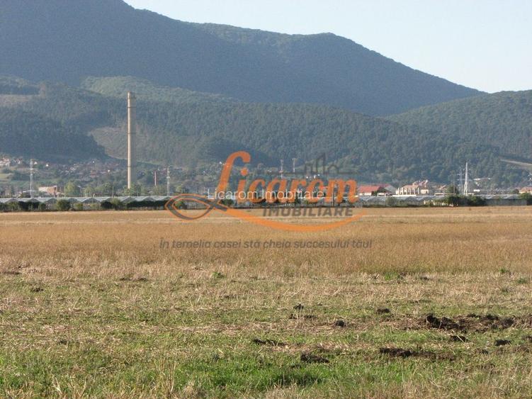 Codlea teren constructii industriale sau logistice 8 ha pana la 24 Ha - 10