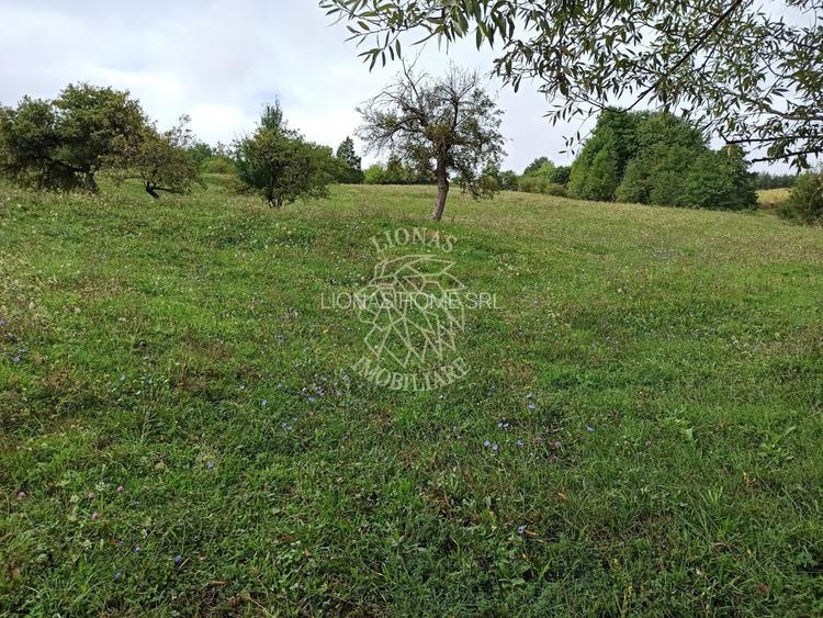 Teren intravilan 12600 mp-utilitati-ideal case, investitie-Livezile - 2