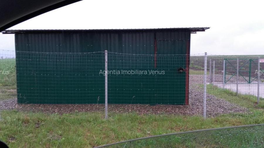 Livada de nuci cu suprafata de 4 hectare - 8