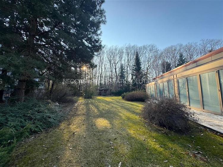 VILA IMPRESIONANTA LANGA PADURE // PISICINA INTERIOARA // TEREN 1700 MP - 7