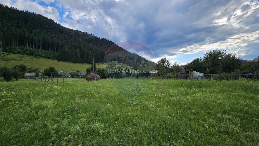 Casa 225 mp, teren intravilan 4822 mp C. Moldovenesc, Suceava - 11