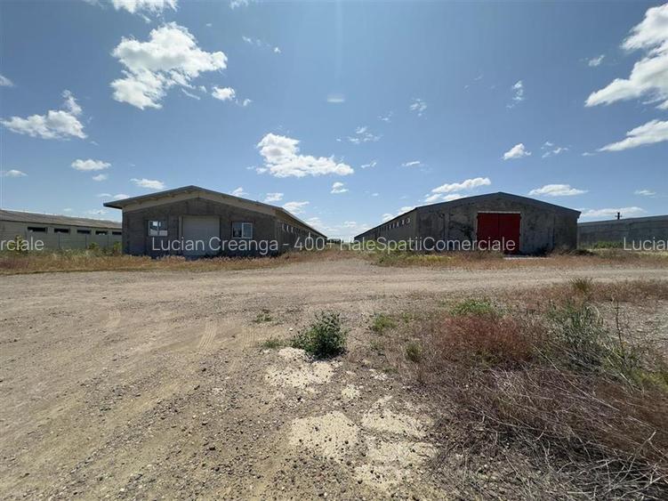 Vanzare hale Horlesti, aproape de Letcani/ Metro, de la 200mp la 2500mp - 2